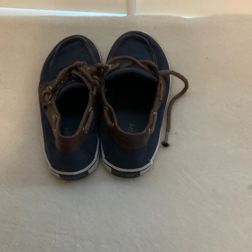Sperry Men's Navy and Brown Boat Shoes